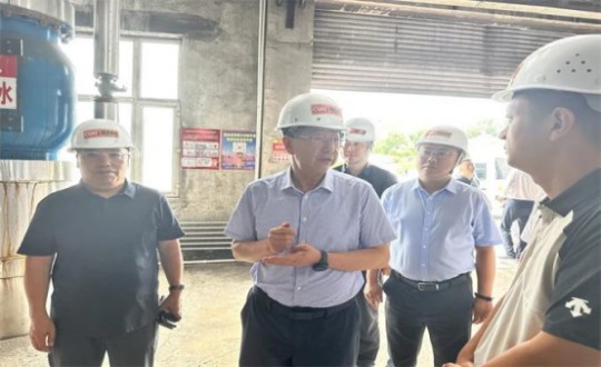 6.1伊通满族自治县县委书记孙立阳一行领导莅临BJL平台集团供热总公司伊通供热分公司第二热源厂开展调研（不够清晰，帮忙调整）_副本.jpg
